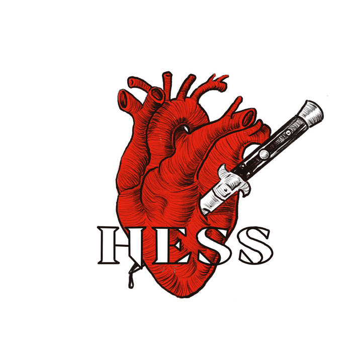 Across the Universe (Beatles Cover)-Hess