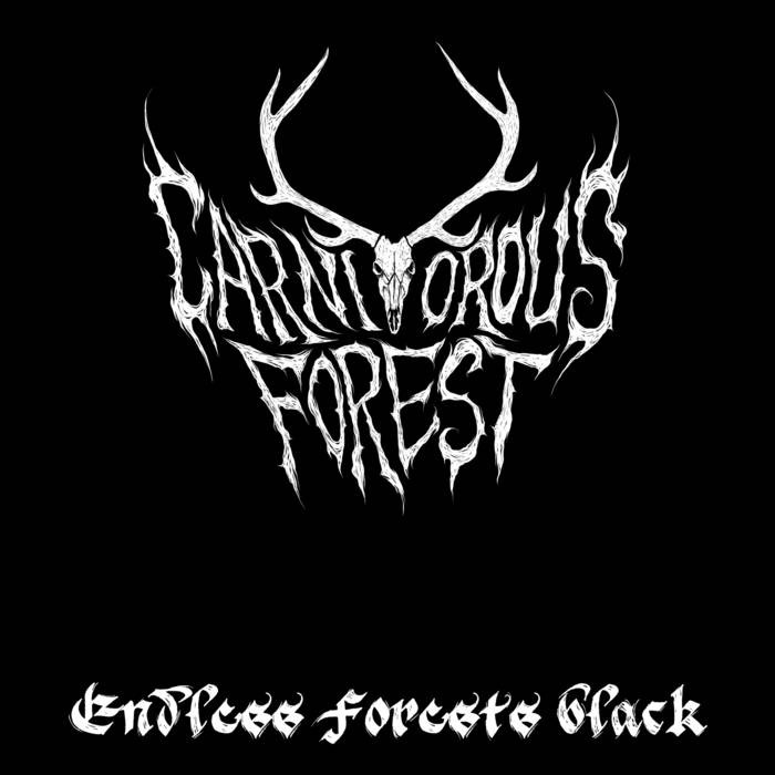 Endless Forests Black