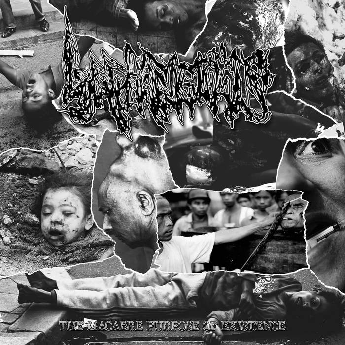 The Macabre Purpose Of Existence