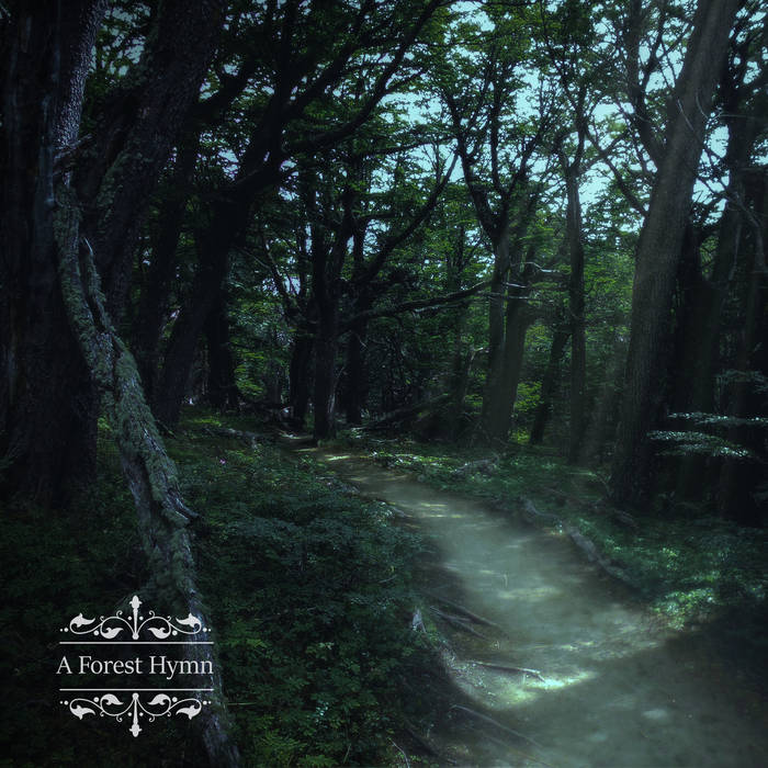 A Forest Hymn