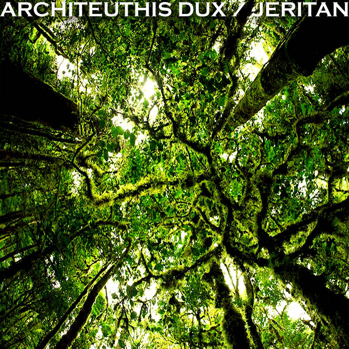 Architeuthis Dux/Jeritan Split