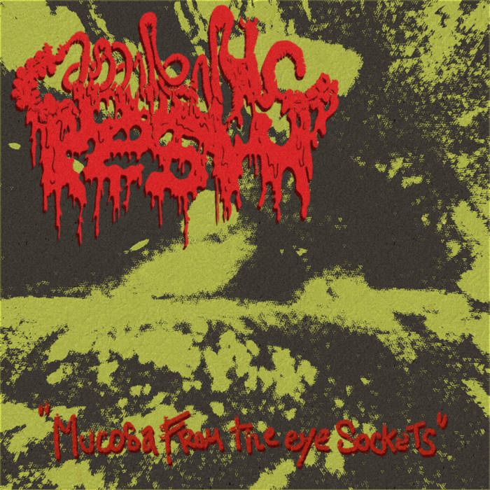 Mucosa from the Eye Sockets