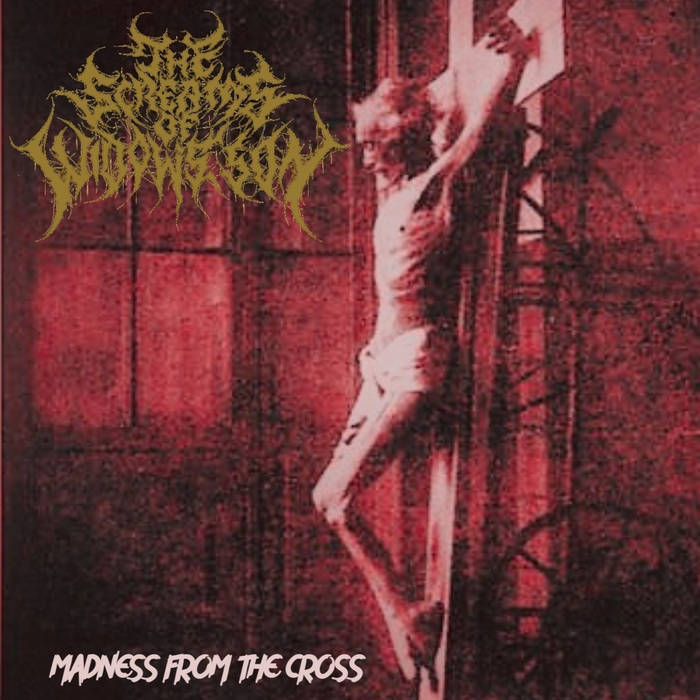 The screams of widow´s son - Madness from the cross(single)