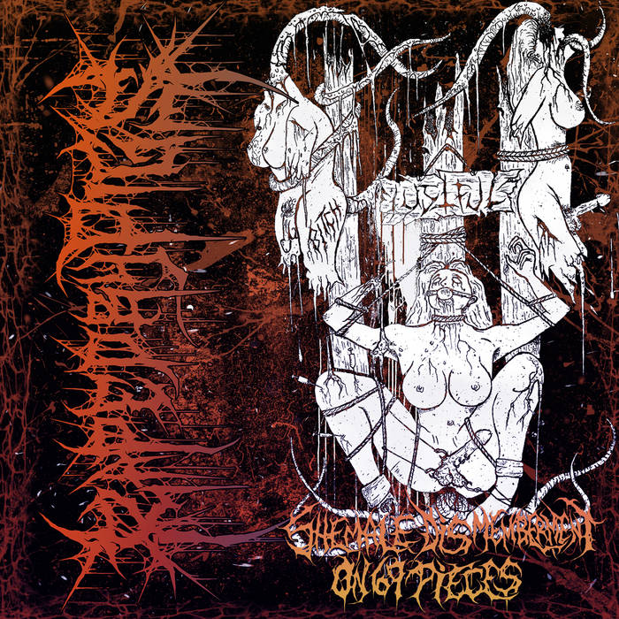 Shemale Dismemberment on 69 pieces (Single)