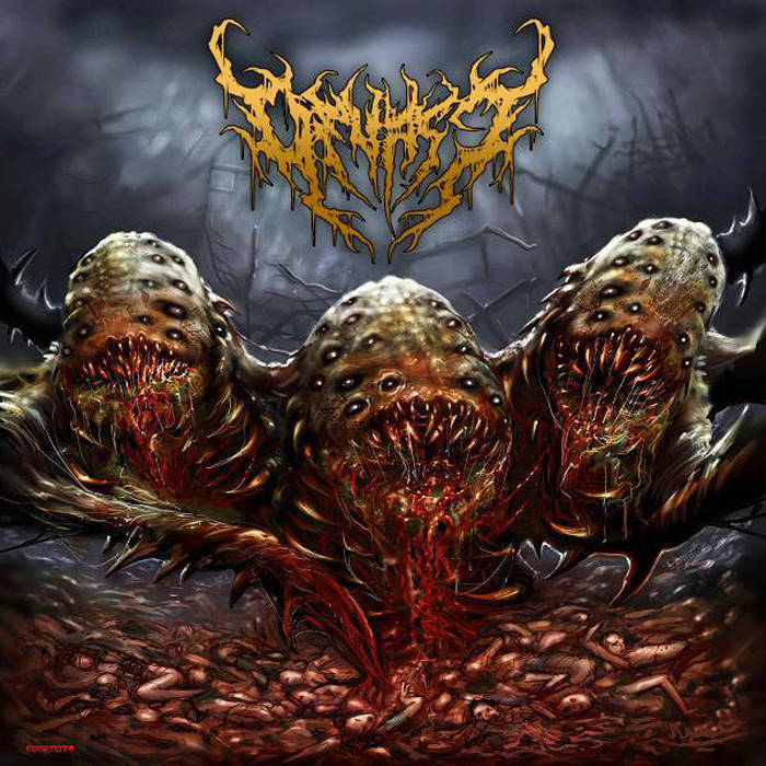 Into Decimated Reality