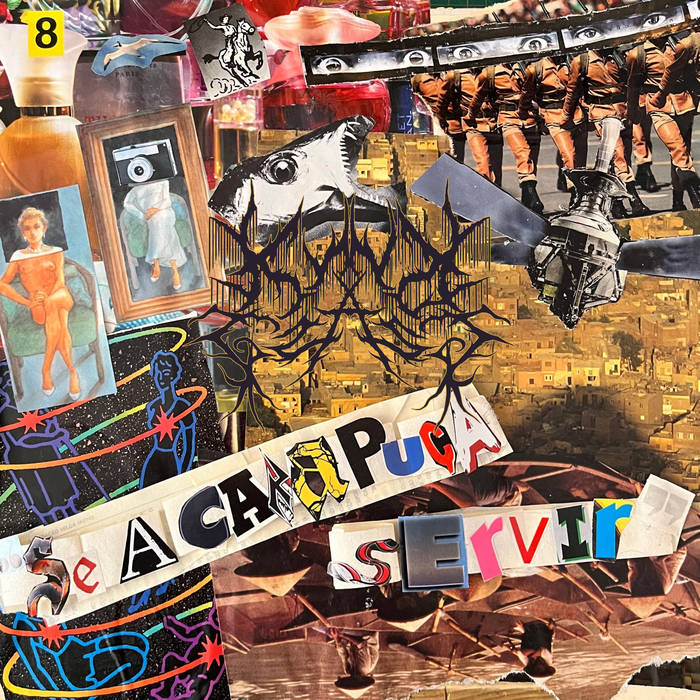 "Se A Carapuça Servir"