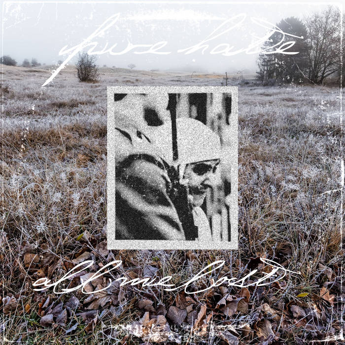 PURE HATE - ALL WE LOST VA