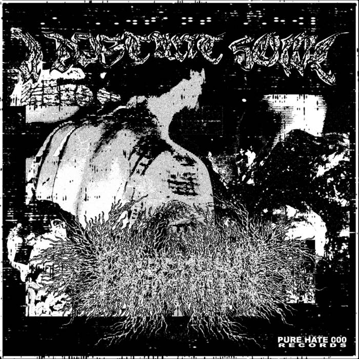 PURE HATE 000 - A DISTANT HOWL
