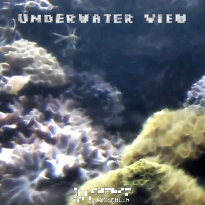 Underwater View
