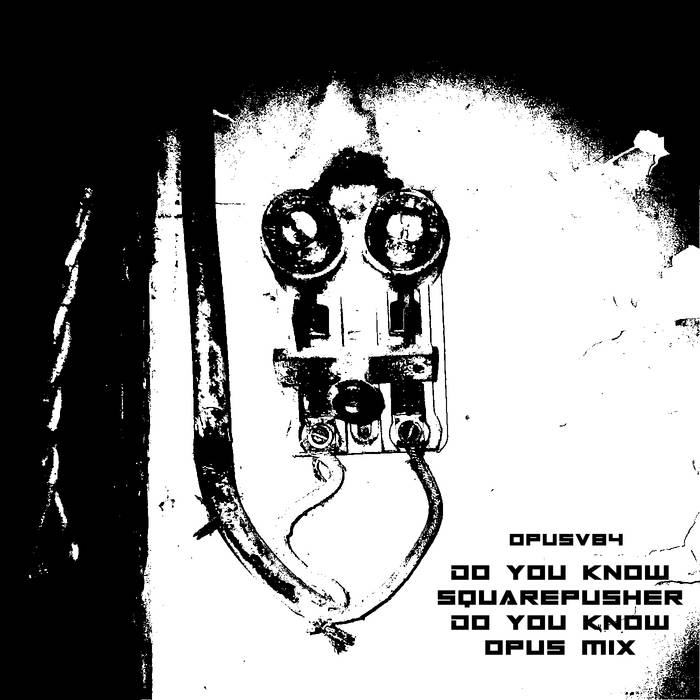 Do You Know Squarepusher (Do You Know Opus Remix)