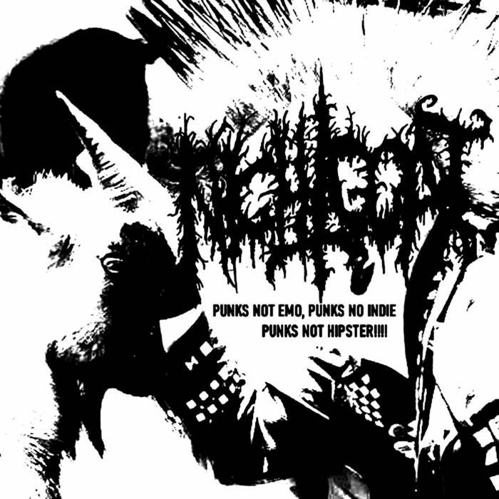 Punks Not Emo, Punks Not Indie, Punks Not Hipster!!!! (EP)