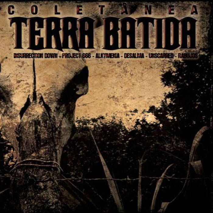 Terra Batida (split)