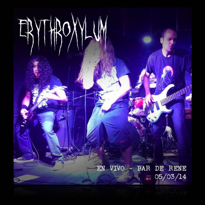 Erythroxylum en vivo - Bar de Rene
