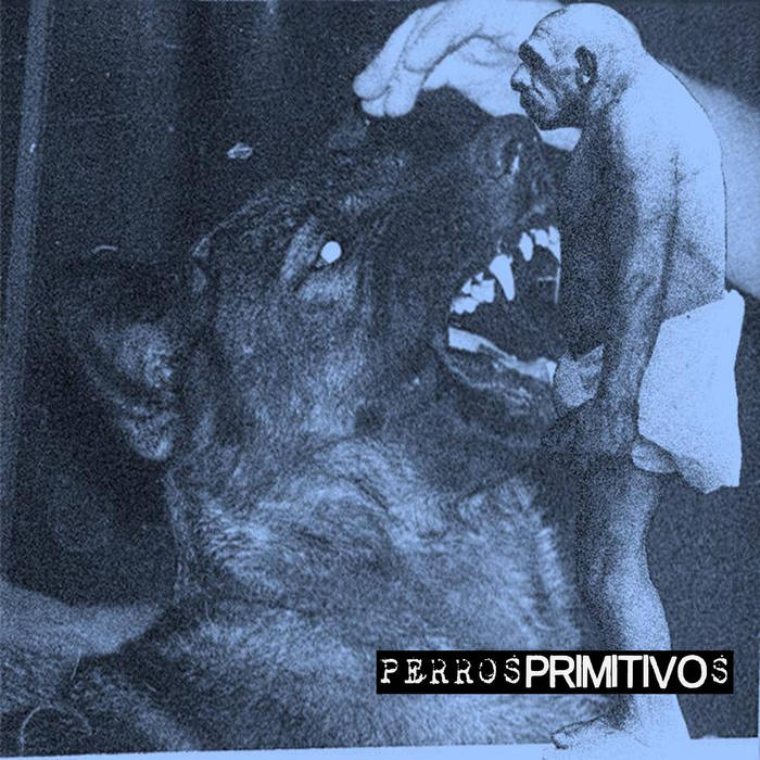 Perros Primitivos (Perros Primos split)
