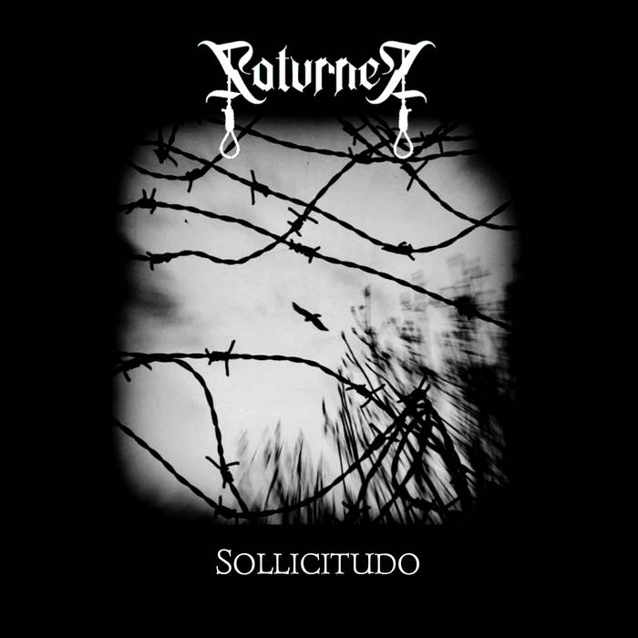 Sollicitudo
