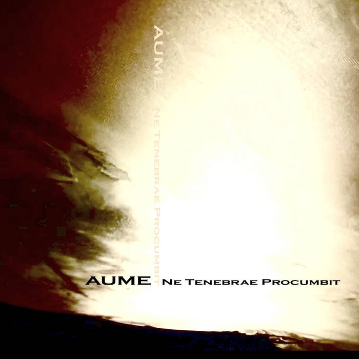 Ne Tenebrae Procumbit