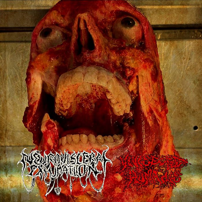 01- Starting the horrendous humans vivisections