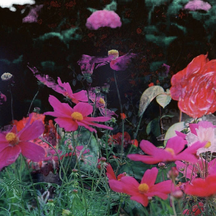 Neither The Nor Thee E.P.