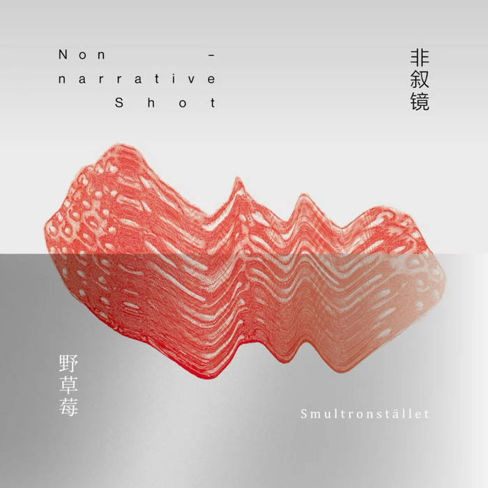 野草莓 Smultronstället