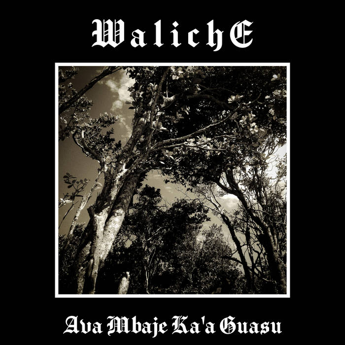 Ava Mbaje Ka'a Guasu