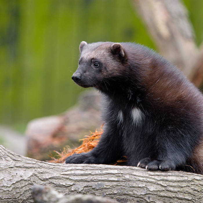 A Serious One and a Stupid One... You Decide Which is Which