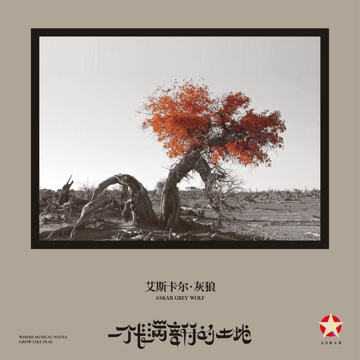 一個長滿音符的土地 Where Musical Notes Grow Like Peas