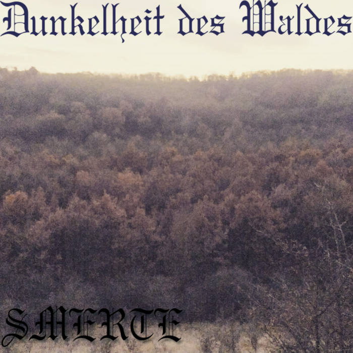 Dunkelheit Das Waldes