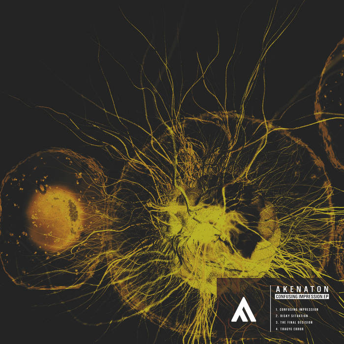 Confusing Impression  EP