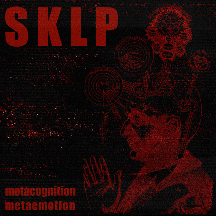 Metacognition Metaemotion