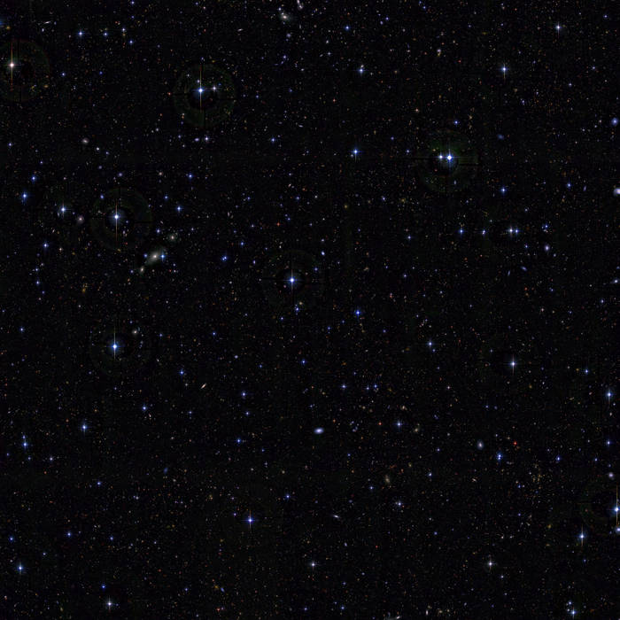 Relinquish - Rygby x Koma