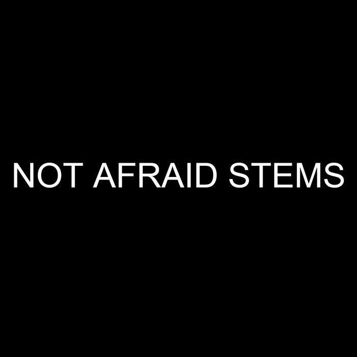 No Remorse - Not Afraid (STEMS)