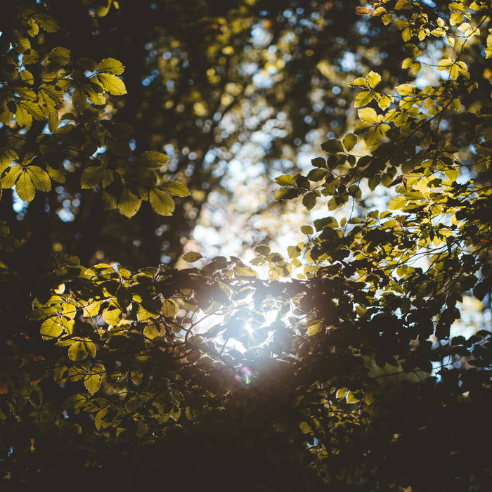 Lost From Sight and Memory (Slowed)