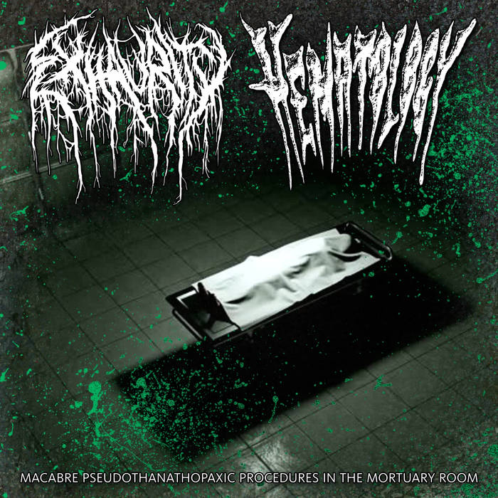 Macabre Pseudothanathopaxic Procedures in the Mortuary Room Exhaurity/Hematology (Split)