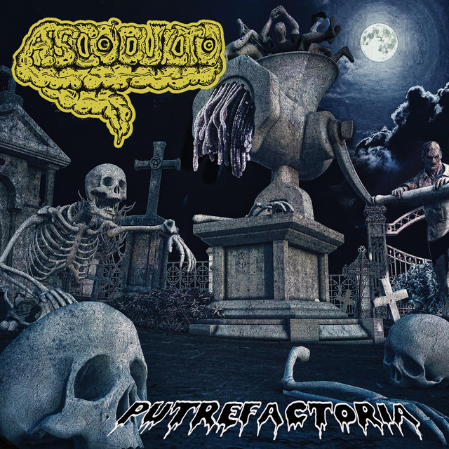 Ascoculto