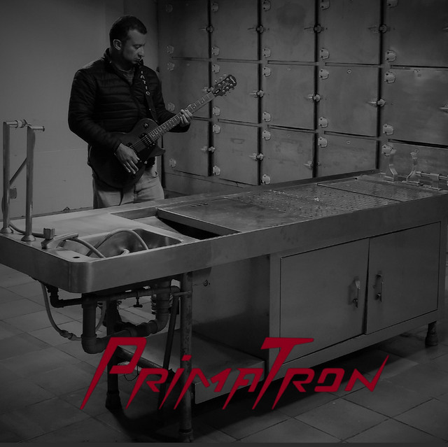 Primatron
