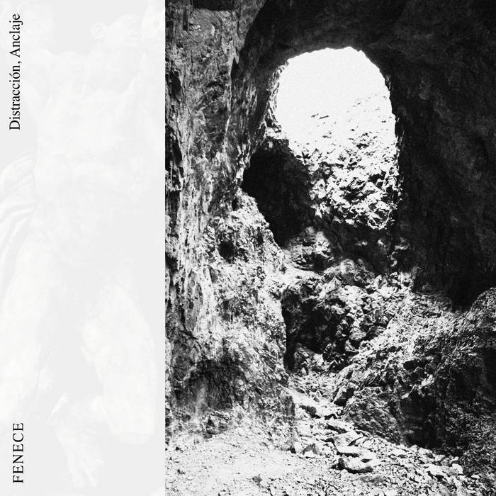 Distracción, Anclaje