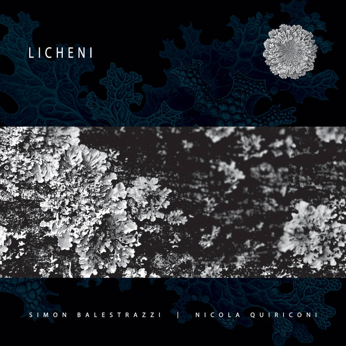 Simon Balestrazzi & Nicola Quiriconi - Licheni