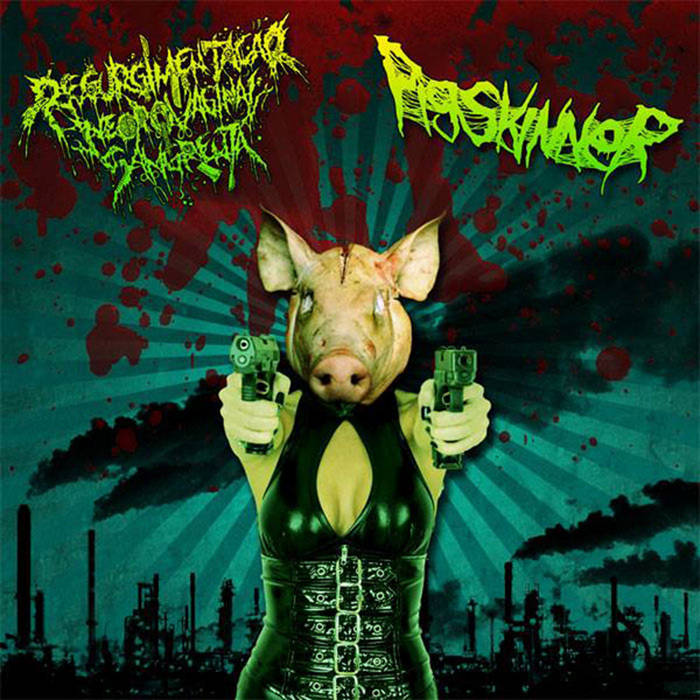 Regurgimentação Necrovaginal Sangrenta / Pigskinner Split