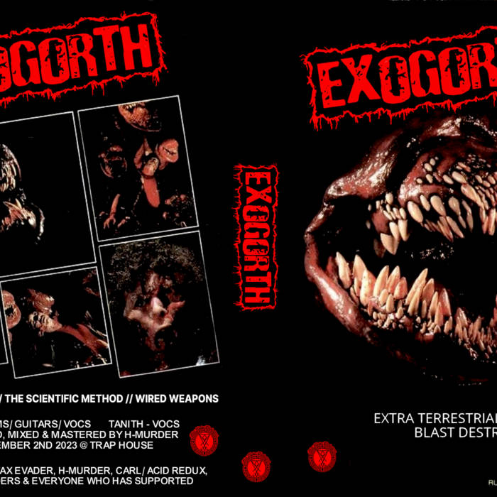 Split w/ TAX EVADER [2024]