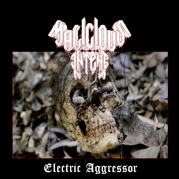Electric Aggressor