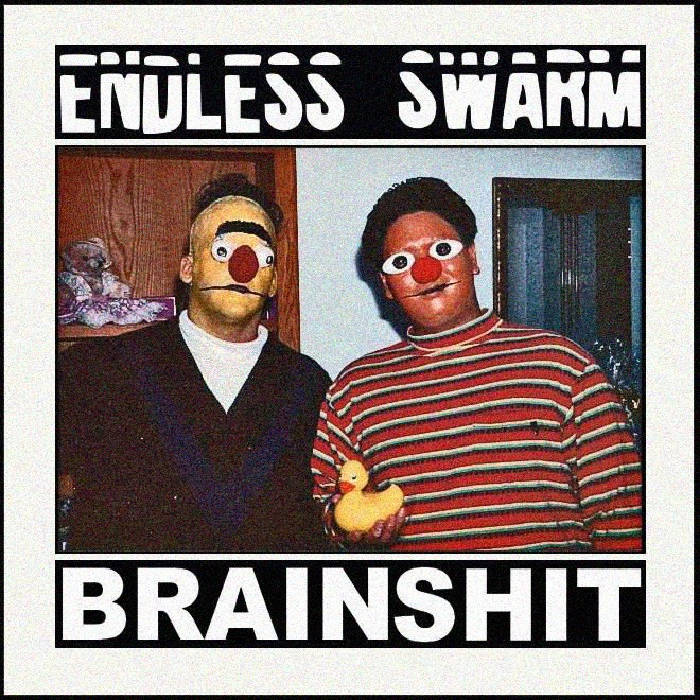 Split with ENDLESS SWARM