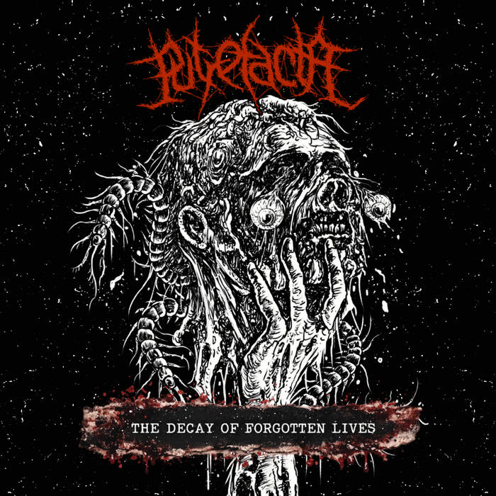 The Decay Of Forgotten Lives