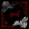 Hybrid Duality