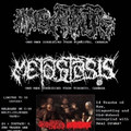 Split Tape with Meatus