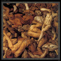 Extipicium (EP)