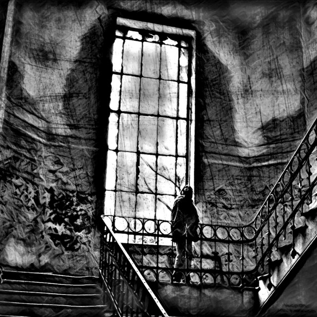 Shadows