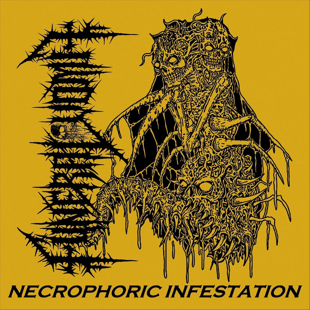 Necrophoric Infestation
