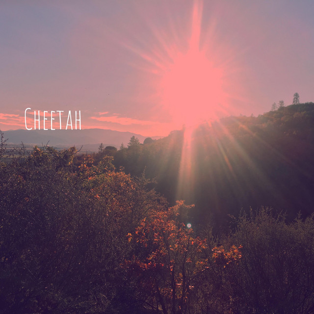 Cheetah (Freestyle Hour, Vol. 8)