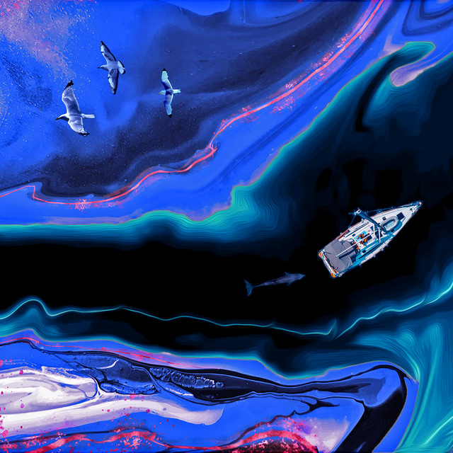 Sea & Seagulls