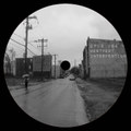 Westport intervention